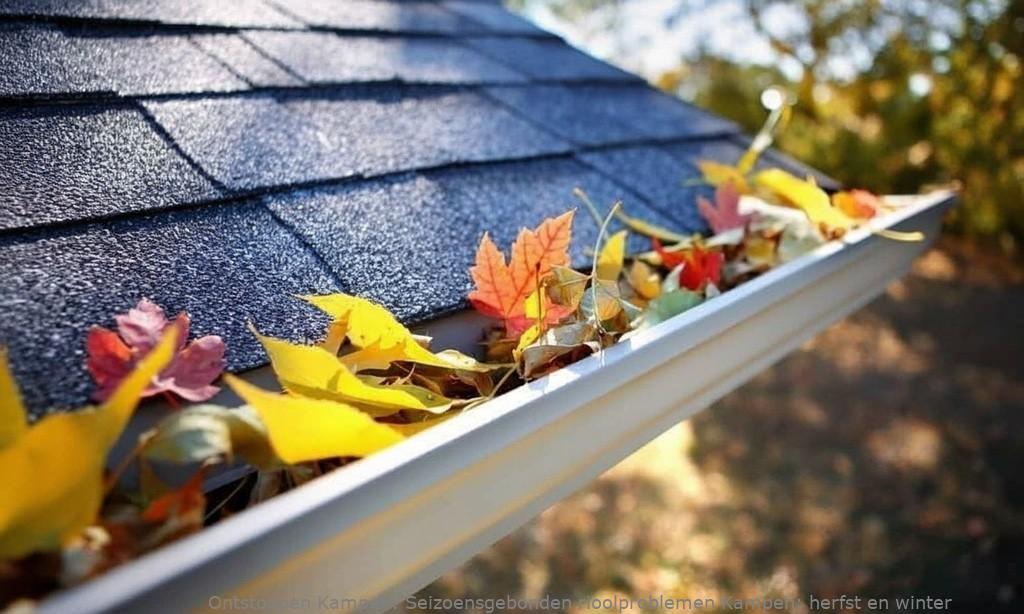 Seizoensgebonden rioolproblemen Kampen: herfst & winter